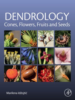 cover image of Dendrology